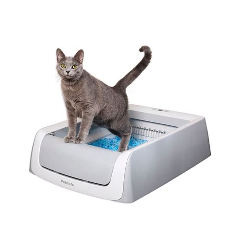 electric kitty litter box australia|self scooping litter box.